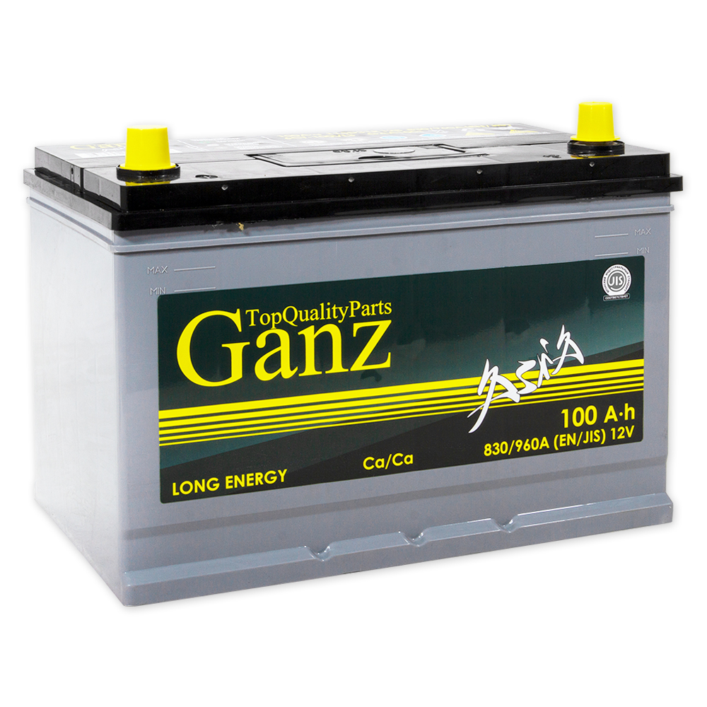 Аккумулятор GANZ ASIA 100 Ач прямой L+ 304x173x220 D31 EN 830 А