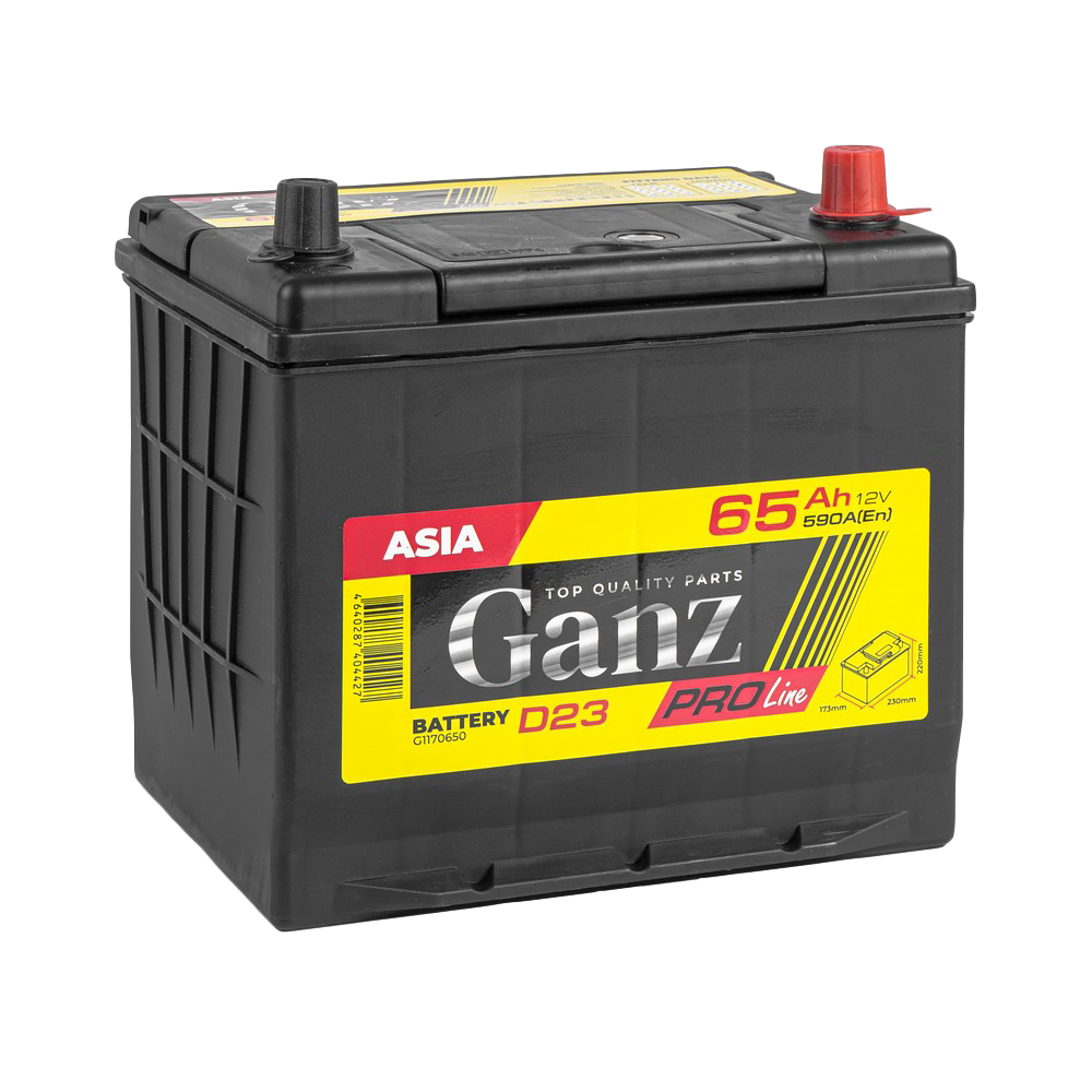 Аккумулятор GANZ PRO-Line JIS 65 Ач обратный R+ 230x173x220 D23 EN 590 А