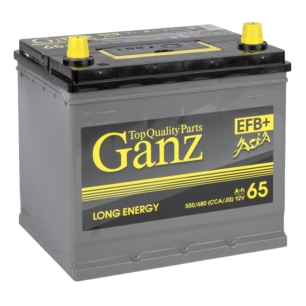 Аккумулятор GANZ ASIA EFB 65 Ач обратный R+ 232x175x225 D23 EN 550 А