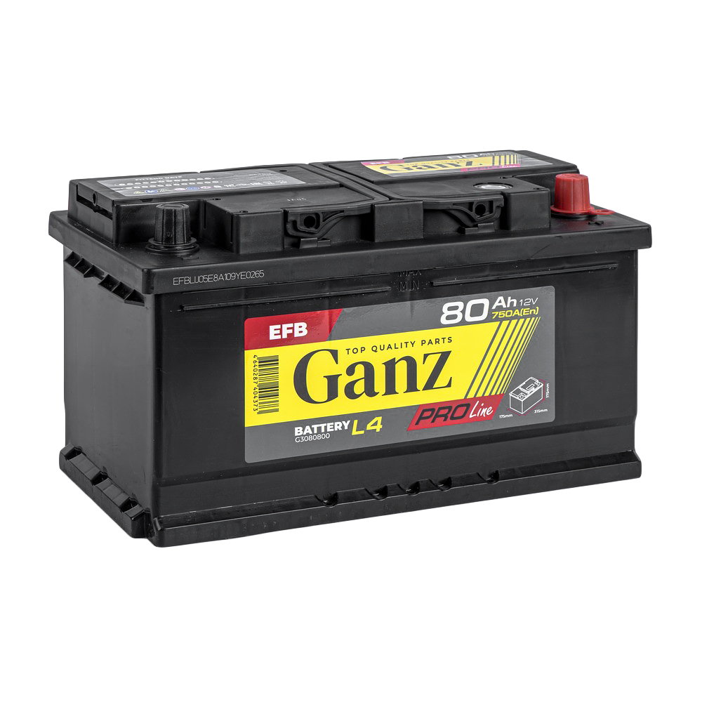 Аккумулятор GANZ PRO-Line EFB 80 Ач обратный R+ 315x175x175 L4 EN 750 А