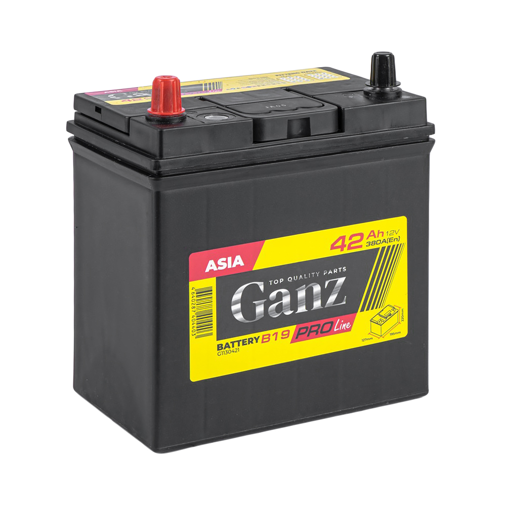 Аккумулятор GANZ PRO-Line JIS 42 Ач прямой L+ 195x127x220 B19 EN 380 А