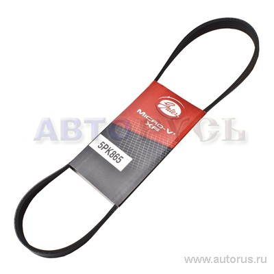 Ремень поликлиновой GATES 5PK865 GATES артикул 5PK865 - цена ...