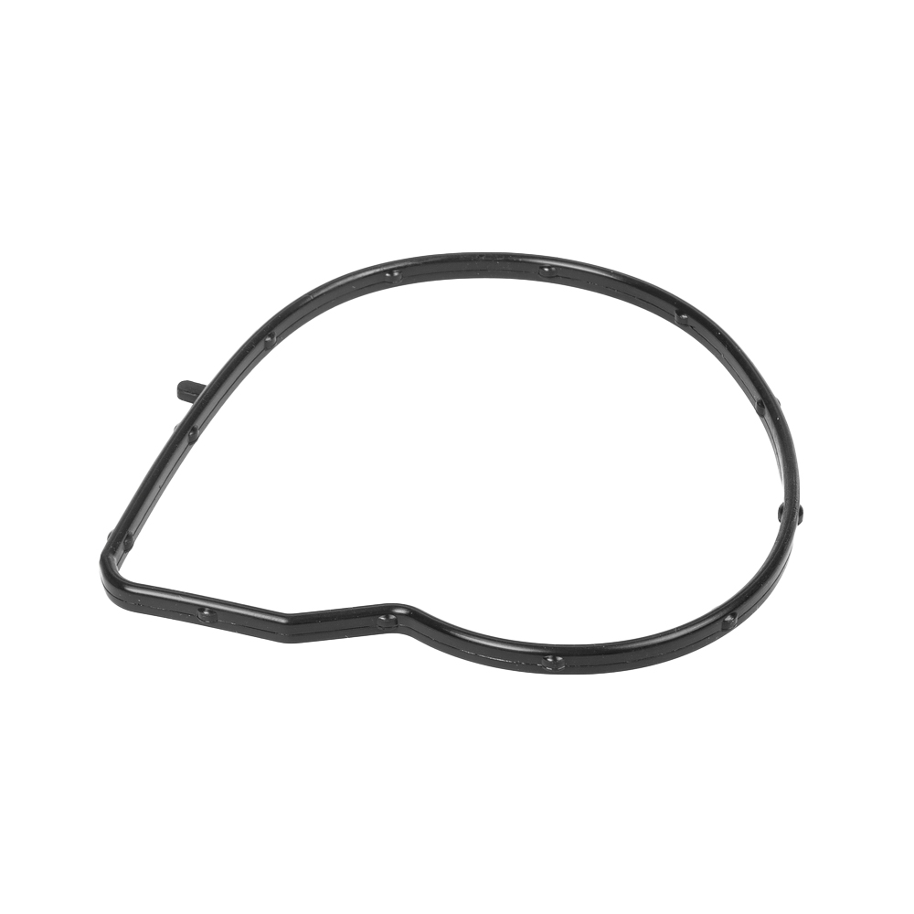 Прокладка водяного насоса BMW 1(F20F21) 1.6 12>  3(F30) 1.6 12>, CITROEN B GANZ GIE11170