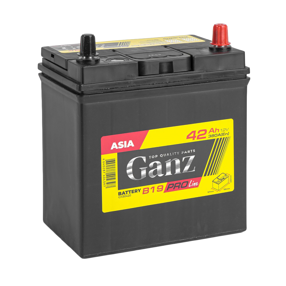 Аккумулятор GANZ PRO-Line JIS 42 Ач обратный R+ 195x127x220 B19 EN 380 А