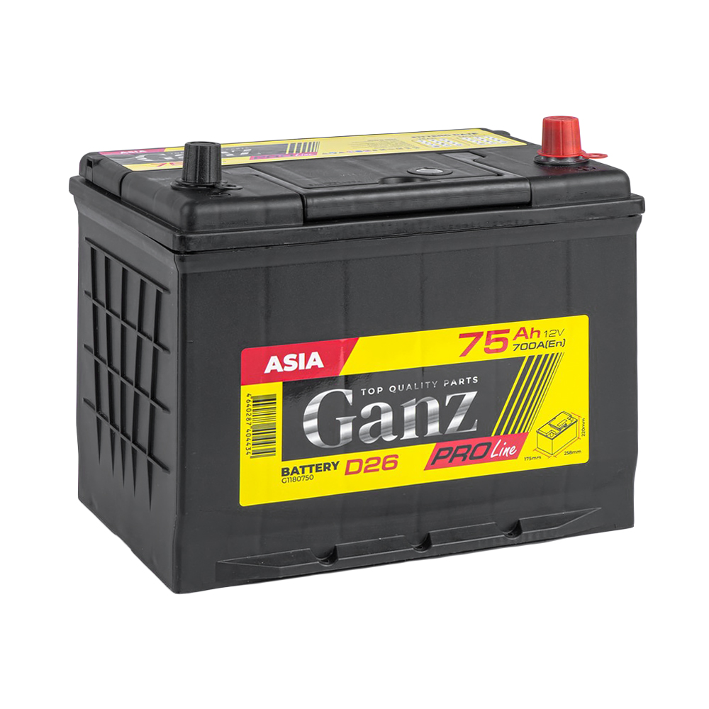 Аккумулятор GANZ PRO-Line JIS 75 Ач обратный R+ 258x173x220 D26 EN 700 А