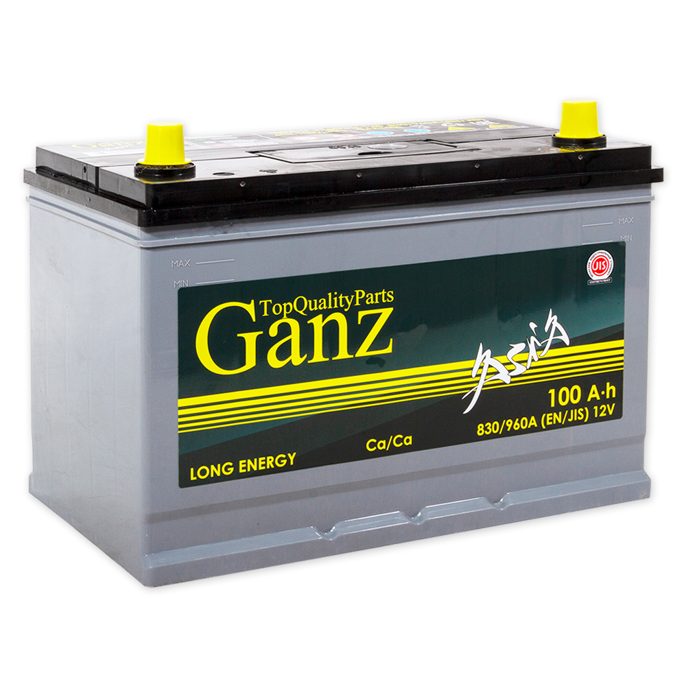 Аккумулятор GANZ ASIA 100 Ач обратный R+ 304x173x220 D31 EN 830 А