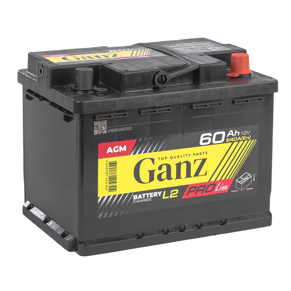 Аккумулятор GANZ PRO-Line AGM 60 Ач обратный R+ 242x175x190 L2 EN 640 А