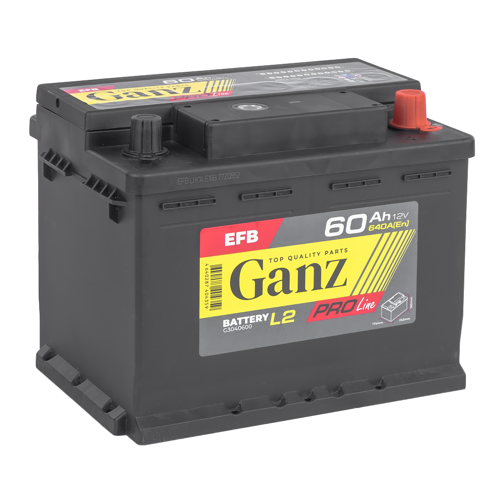 Аккумулятор GANZ PRO-Line EFB 60 Ач обратный R+ 242x175x190 L2 EN 640 А